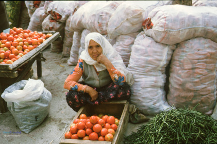 1987, Türkei, Web